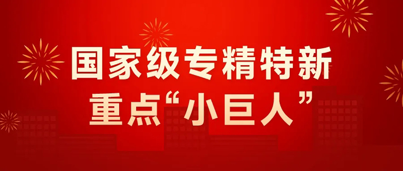 Good News 丨LEICE is honored to be the national key “small giant” enterprise.